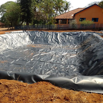 Matériau de base 100% HDPE vierge LLDPE 0,3 mm HDPE, revêtement d'étang pour étang de crevette au Pérou