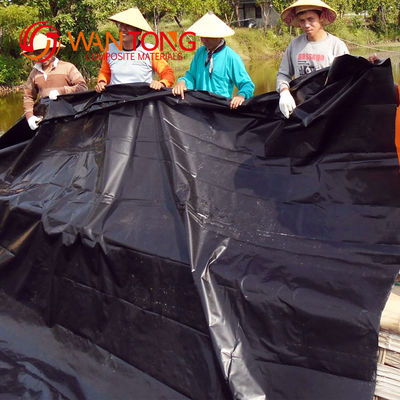 GB/ASTM GRI-GM13 Standard Liner d'étang à géomembrane en HDPE noir pour étang à crevettes