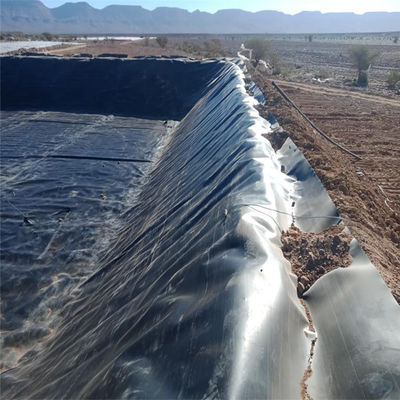 Taille de rouleau de géomembrane HDPE pour une prévention efficace des fuites