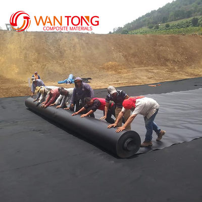 Style de conception moderne 1 mm HDPE Geomembrane Liner personnalisé pour les solutions de revêtement de tunnel