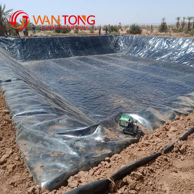 Style de conception moderne 1 mm HDPE Geomembrane Liner personnalisé pour les solutions de revêtement de tunnel