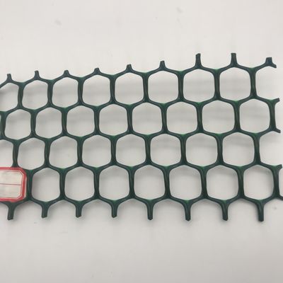 5 mm HDPE géonet pour le renforcement des routes selon vos besoins