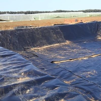 Géomembrane HDPE durable pour revêtement d'étang de design asiatique dans d'autres régions