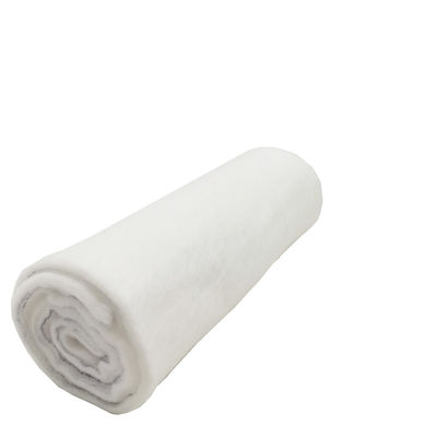 Largeur de 1 à 6 m Tissu géotextile non tissé 250 g/m2 destiné aux projets d'aménagement paysager et d'écologisation