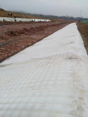 Largeur de 1 à 6 m Tissu géotextile non tissé 250 g/m2 destiné aux projets d'aménagement paysager et d'écologisation