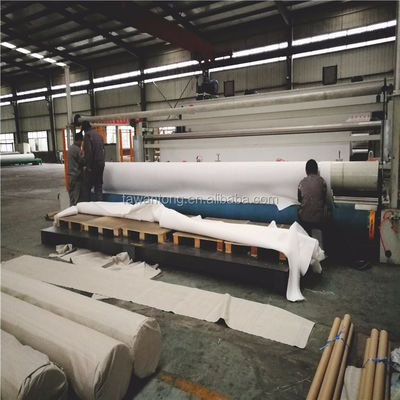 Largeur de 1 à 6 m Tissu géotextile non tissé 250 g/m2 destiné aux projets d'aménagement paysager et d'écologisation