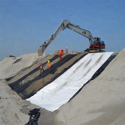 Largeur de 1 à 6 m Tissu géotextile non tissé 250 g/m2 destiné aux projets d'aménagement paysager et d'écologisation