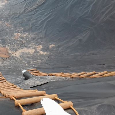 LDPE LLDPE HDPE Plastique étangs de poissons imperméabilisation membrane 0,5 mm HDPE feuille de géomembrane m2