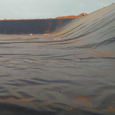 LDPE LLDPE HDPE Plastique étangs de poissons imperméabilisation membrane 0,5 mm HDPE feuille de géomembrane m2