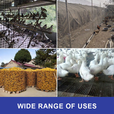 Renforcement du pavé routier en PP plastique géogrid bi-axiale pour l'industrie de l'élevage et les poulets