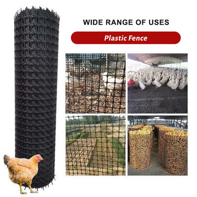 Renforcement du pavé routier en PP plastique géogrid bi-axiale pour l'industrie de l'élevage et les poulets
