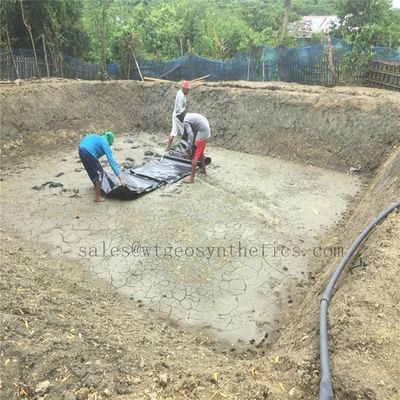 Surface texturée lisse 1,5 mm Géomembrane HDPE pour barrage en plastique étanche 1,0 mm