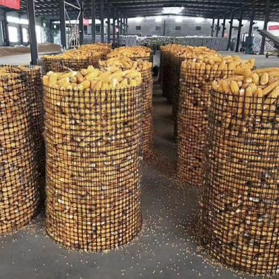 Grille géogridée en polyester tissée pour la protection des chemins et des pentes épaisseur 0,2 mm-4 mm Norme ISO