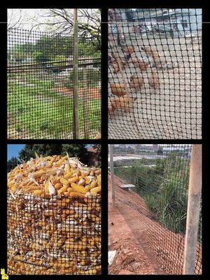 Cage de reproduction de poulets et d'oie certifiée CE/ISO9001 avec géogridée biaxielle renforcée