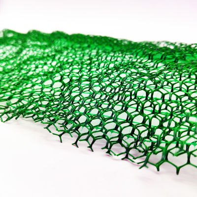 Rameau en acier plastique renforcement d'herbe 3D Mat géomate pour le contrôle de l'érosion
