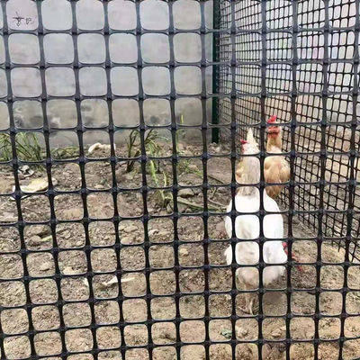 Rameau géogrid biaxial de style chinois pour poulet