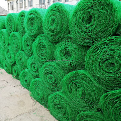 Conception chinoise HDPE PP géomate pour les structures de soutien de prévention des glissements de terrain personnalisés