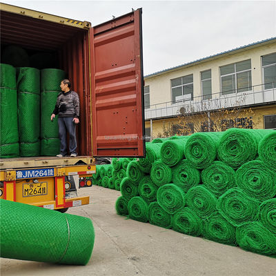 Conception chinoise HDPE PP géomate pour les structures de soutien de prévention des glissements de terrain personnalisés