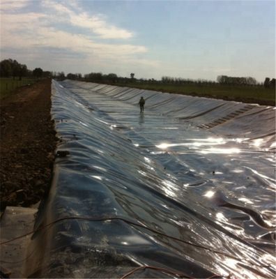 Géomembrane vierge/HDPE recyclée pour les réservoirs d'étangs, les barrages, les étagères de piscines et les étagères de piscines
