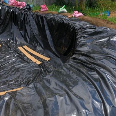 1 mm/1,5 mm HDPE bassin géomembrané pour étang de poissons GB/ASTM GRI-GM13 Solution à longue durée de vie