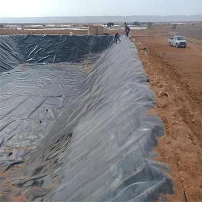 Conception contemporaine géomembrane en PEHD d'une épaisseur de 1 mm à 2 mm pour le projet d'exploitation minière de décharges de barrages