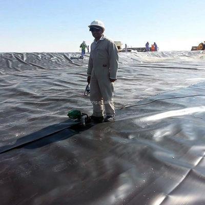 Plaque de revêtement de l'étang de poisson à géomembrane en HDPE noir pour l'étanchéité à l'eau standard ASTM de 1 mm