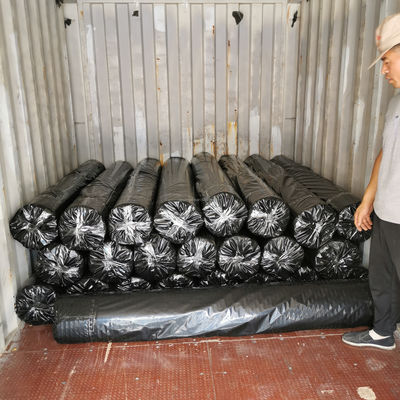 50-50 kn Polyester géogrid/ PET géogrid pour le renforcement des berges des rivières Application sur le lit des routes