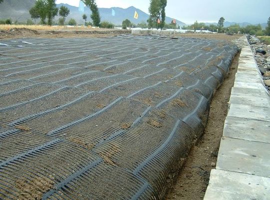 Géogrides certifiées CE/ISO9001 50Kn/m Protection contre les pentes Cellule de sol PP HDPE Géogrides uniaxial en plastique