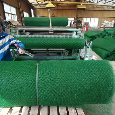 Réseau en plastique géosynthétique de 50 m de longueur normale pour les clients