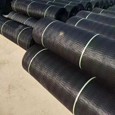Réseau en plastique géosynthétique de 50 m de longueur normale pour les clients