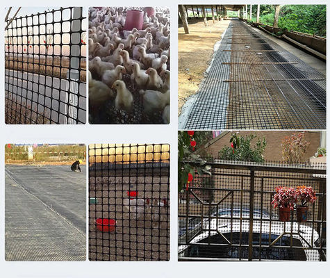 Matériau de polypropylène 15 kn Ferme de clôture en treillis géogrid pour les applications agricoles