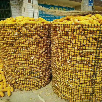 Matériau de polypropylène 15 kn Ferme de clôture en treillis géogrid pour les applications agricoles