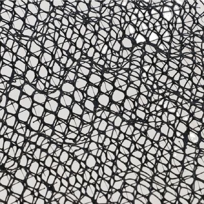 Tapis de contrôle de l'érosion géomatique en plastique 3D de 30 m de longueur et formation sur place
