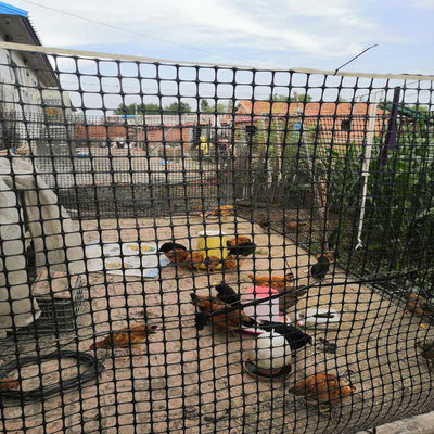 Réseau en plastique géogrid bidirectionnel noir pour les enclos pour poulets et canards dans un entrepôt