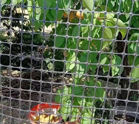 Réseau en plastique géogrid bidirectionnel noir pour les enclos pour poulets et canards dans un entrepôt