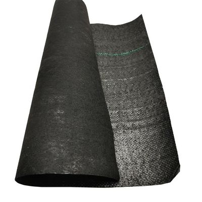PP haute résistance à la traction 70GSM-400GSM géotextile tissé pour la lutte contre les mauvaises herbes du jardin aux bleuets
