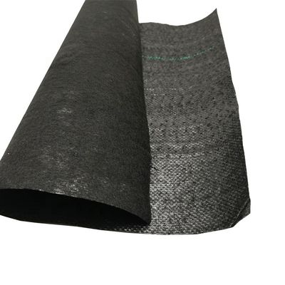 PP haute résistance à la traction 70GSM-400GSM géotextile tissé pour la lutte contre les mauvaises herbes du jardin aux bleuets