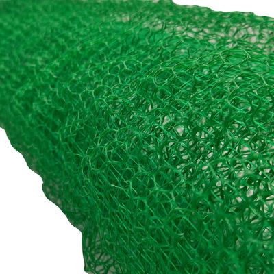Conception contemporaine 2m largeur contrôle de l'érosion Geonet/Geomat avec couverture végétative 3D