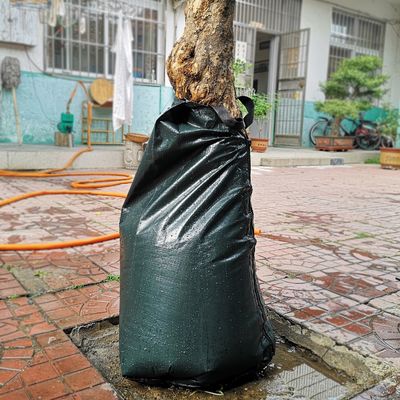 Autres systèmes d'irrigation de l'arbre en PVC