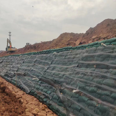 50m longueur PP HDPE Géogrid uniaxial pour un style de conception minimaliste en matériau durable