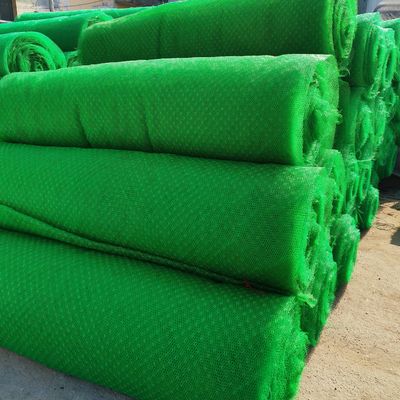 Mat de contrôle de l'érosion géomatique en HDPE 3D de conception chinoise pour la protection des pentes Em2 Em3 Em4 Em5