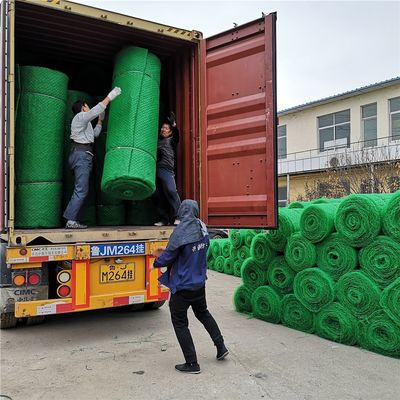 Mat de contrôle de l'érosion géomatique en HDPE 3D de conception chinoise pour la protection des pentes Em2 Em3 Em4 Em5
