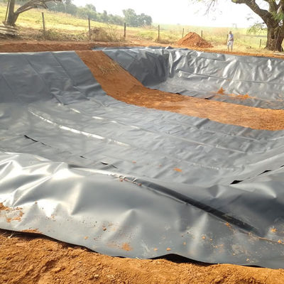 1 mm HDPE géomembrane piscicole étang liner rouleau étanche matière première 100% HDPE vierge