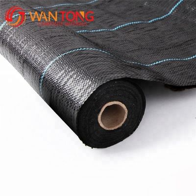 Extrusion de tapis de culture de mauvaises herbes en PE à membrane tissée en PP pour lutter contre les mauvaises herbes