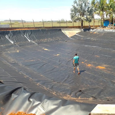 0Geomembrane en HDPE bleu de 75 mm pour l'élevage de crevettes et de poissons à un coût abordable