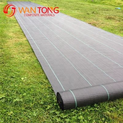 Extrusion de tapis de culture de mauvaises herbes en PE à membrane tissée en PP pour lutter contre les mauvaises herbes