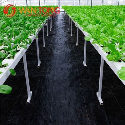 Polypropylène 90 g tapis anti-herbe agro textile de lutte contre les mauvaises herbes pour les applications agricoles