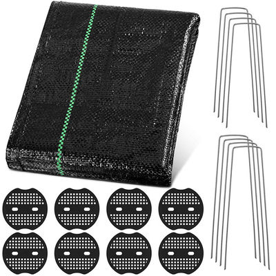 Dites au revoir aux mauvaises herbes avec le tapis de lutte contre les mauvaises herbes en tissu PP
