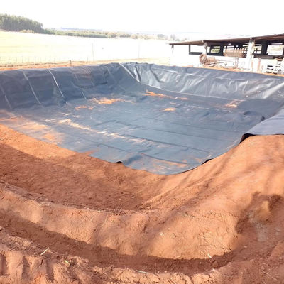 Shandong HDPE géomembrane 0,5 mm pour étang Liner pisciculture Pound Pool décharge
