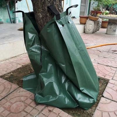 Système d'irrigation par goutte à goutte pour arroser les arbres Économiser de l'eau et favoriser le développement des racines